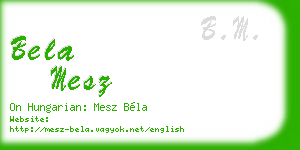 bela mesz business card